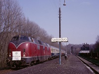 Zum 75jährigen Jubiläum stellte die DB in Kooperation mit den Eisenbahnfreunden Hönnetal dem planmäßigen N 6459 die 221 107 und einen Gesellschaftswagen bei. Die Holzmastlaternen aus Sanssouci wurden erhalten und stehen heute in Lippborg.